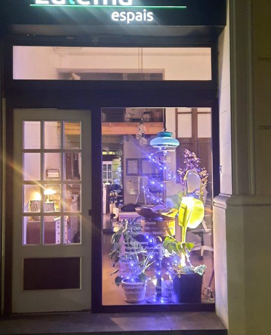 ESCAPARATE NAVIDEÑO